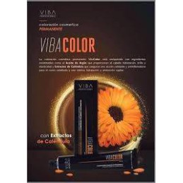 VIBA Coloring Cream Viba professional - 2